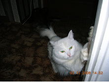 DSCN0838.JPG