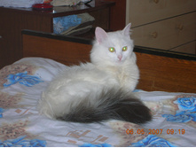 DSCN2386.JPG
