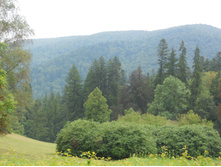 DSCN1372.JPG