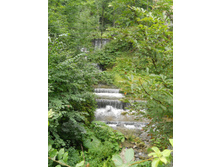 DSCN1386.JPG