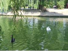 DSCN1264.JPG