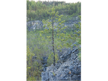 12.05.2010 10:16:39