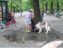 DSCN1290.JPG