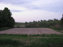25.05.2010 19:48:06