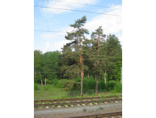 25.05.2010 20:27:11