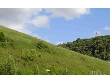 ����� Windows XP