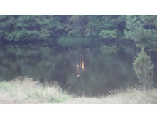 28.05.2010 20:16:29