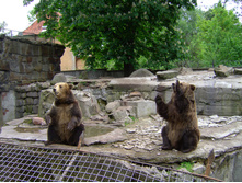 29.05.2010 11:18:38