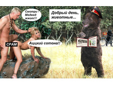 MEDVED