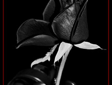 02.06.2010 8:28:55
