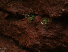 ���� ���� ���������. 05.06.2010 22:56:44