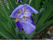 ���� ���� ���������. 05.06.2010 23:01:54