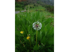 ���� ���� ���������. 06.06.2010 10:05:49