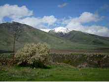 ���� ���� ���������. 06.06.2010 10:27:07