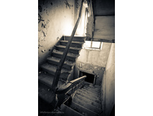 08.06.2010 3:03:58
