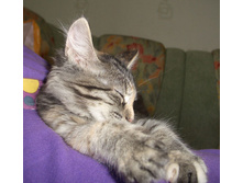 13.06.2010 2:34:32