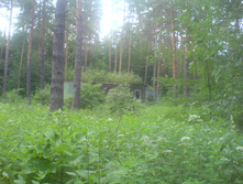 15.06.2010 23:53:39