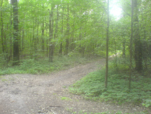 15.06.2010 23:54:26