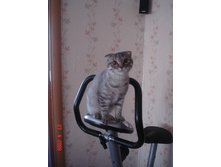16.06.2010 17:43:21