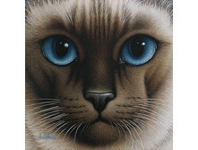 30.06.2010 10:32:33