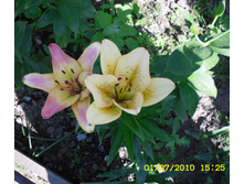 02.07.2010 1:10:33