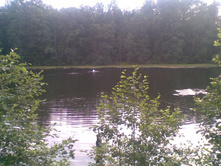 07.07.2010 20:58:10