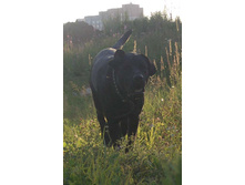 08.07.2010 1:33:09