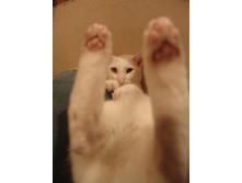 15.07.2010 22:43:47