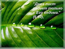 16.07.2010 14:09:15