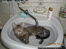 17.07.2010 15:51:17