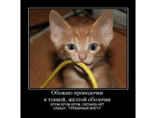 17.07.2010 15:57:30