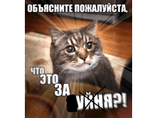 17.07.2010 15:58:10