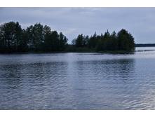 19.07.2010 19:37:29