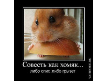 28.07.2010 10:37:39