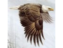 02.08.2010 1:08:38