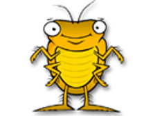 02.08.2010 1:16:41