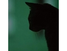 02.08.2010 1:19:53