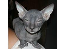 02.08.2010 1:20:27