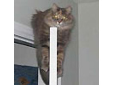 02.08.2010 1:20:27