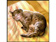 02.08.2010 1:20:33
