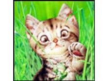 02.08.2010 1:20:35