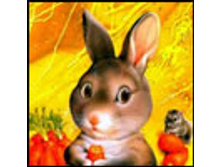 02.08.2010 1:20:36