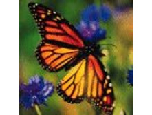 02.08.2010 1:21:08
