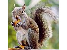 02.08.2010 1:21:22