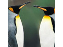 02.08.2010 1:21:23