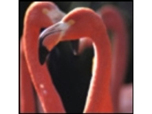 02.08.2010 1:21:29