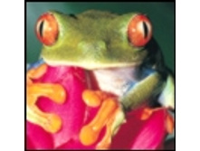 02.08.2010 1:21:30