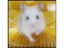02.08.2010 1:21:31