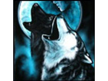 02.08.2010 1:23:51