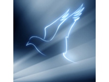 02.08.2010 1:25:28